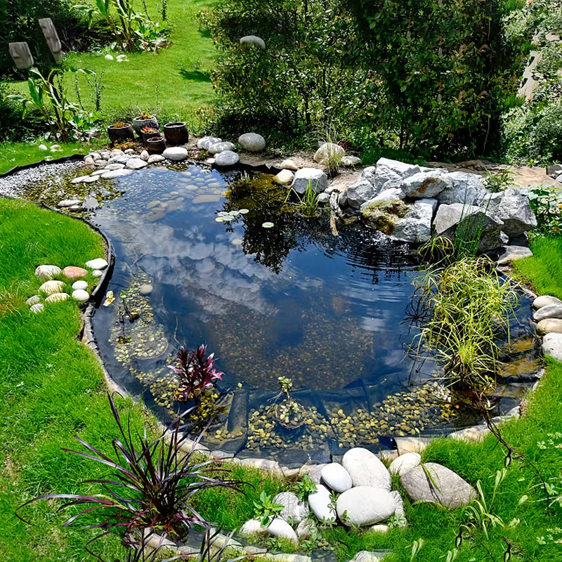 Recreational koi pond 8 Sizes